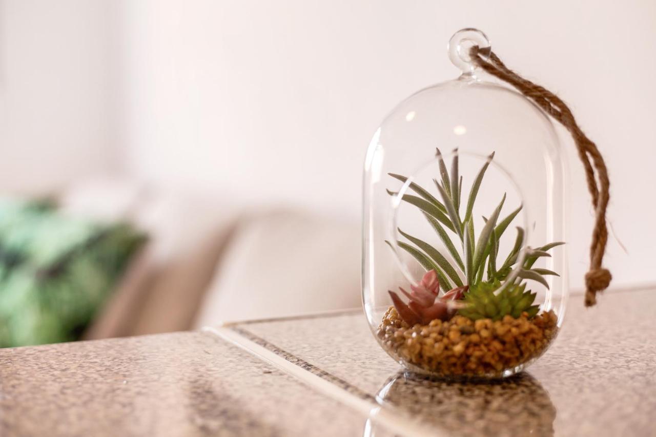 Apartamento Dayely كوراليهو المظهر الخارجي الصورة